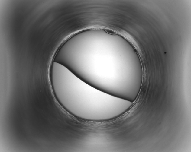 X0000088690958200705310955
