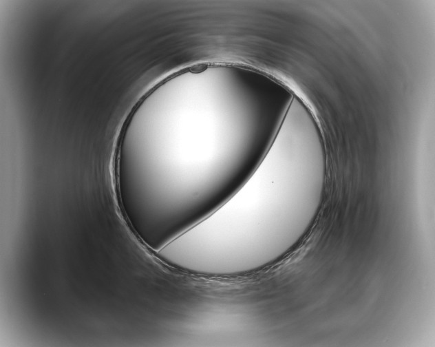X0000088690959200705310955