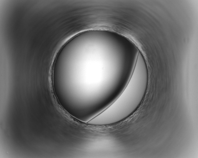X0000088690960200705310955