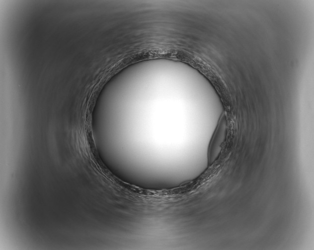 X0000088690961200705310955