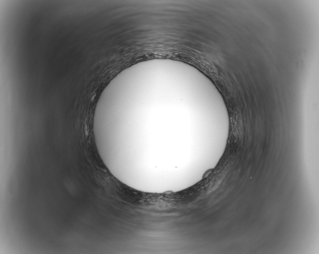 X0000088690962200705310955