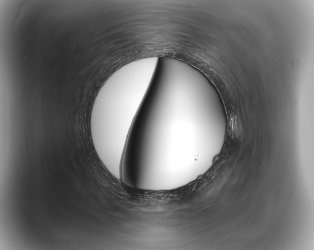 X0000088690963200705310955