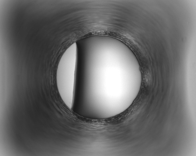 X0000088690964200705310955