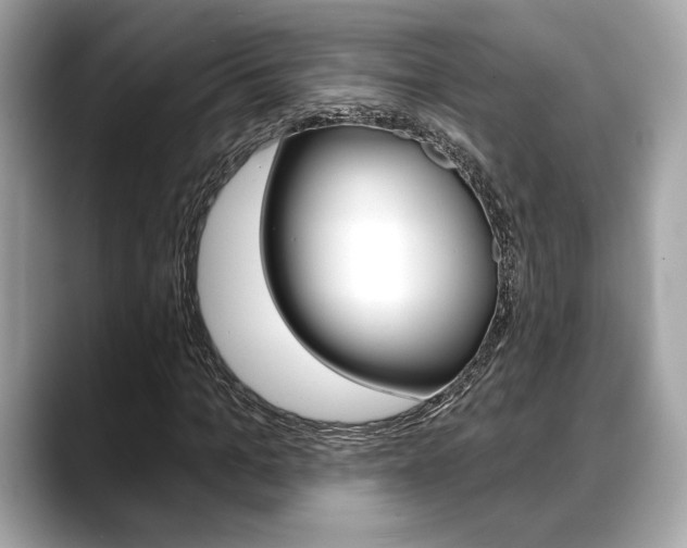X0000088690965200705310955