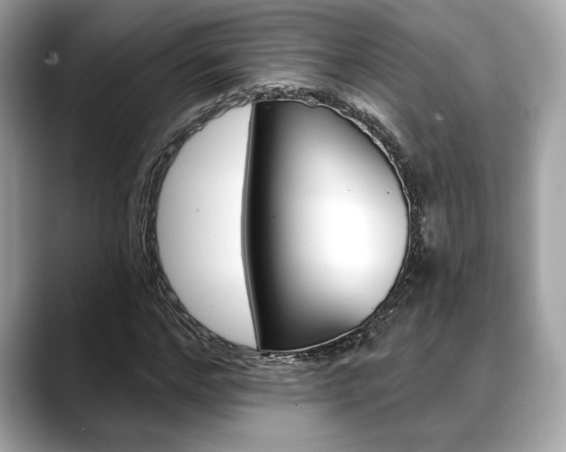 X0000088690968200705310955