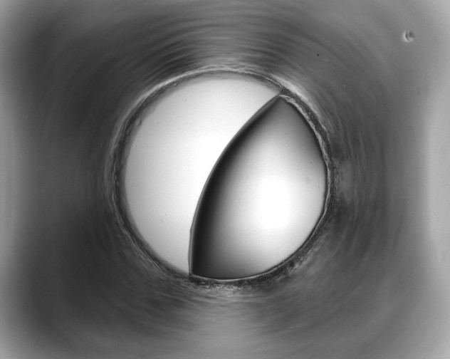 X0000088690971200705310955