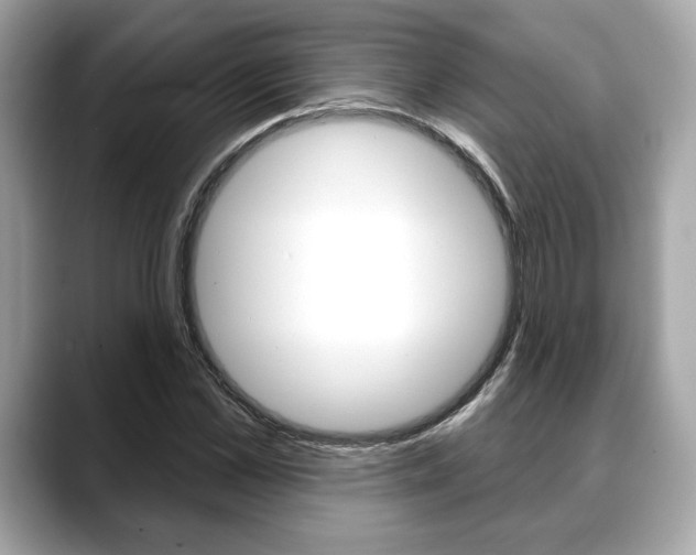 X0000088690973200705310955