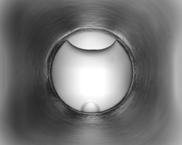 X0000088690974200705310955