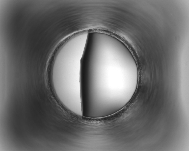X0000088690975200705310955
