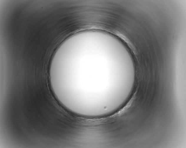 X0000088690977200705310955
