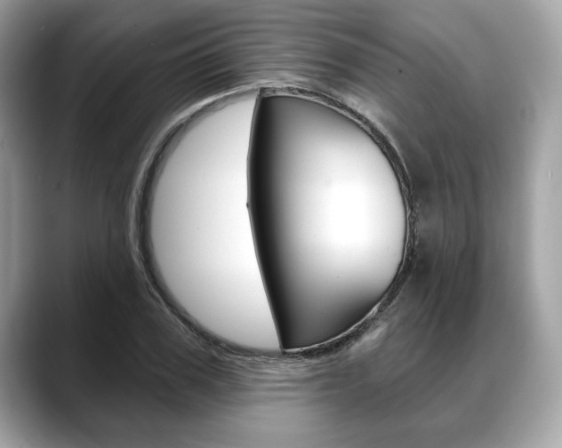 X0000088690979200705310955
