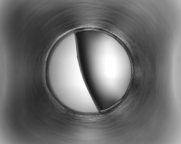 X0000088690980200705310955