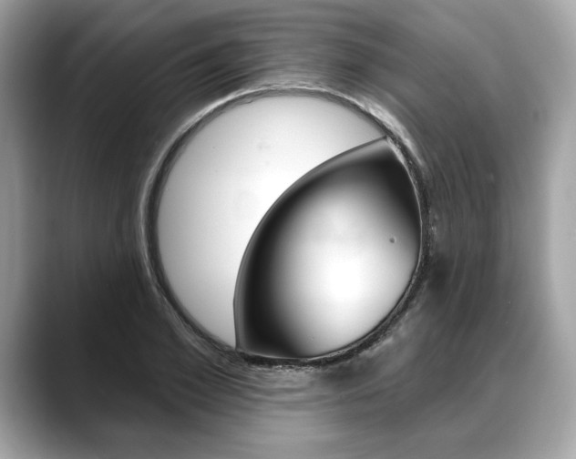 X0000088690981200705310955