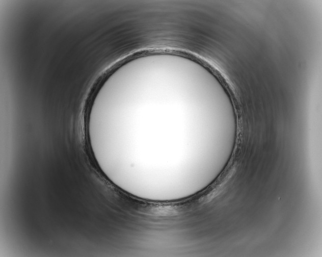 X0000088690982200705310955