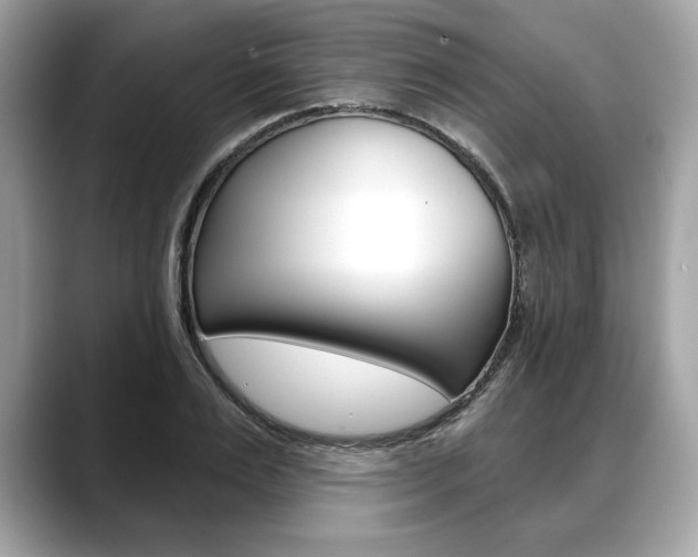 X0000088690983200705310955