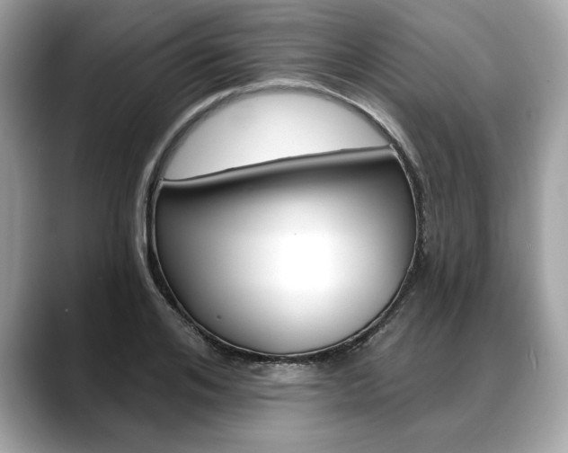 X0000088690984200705310955