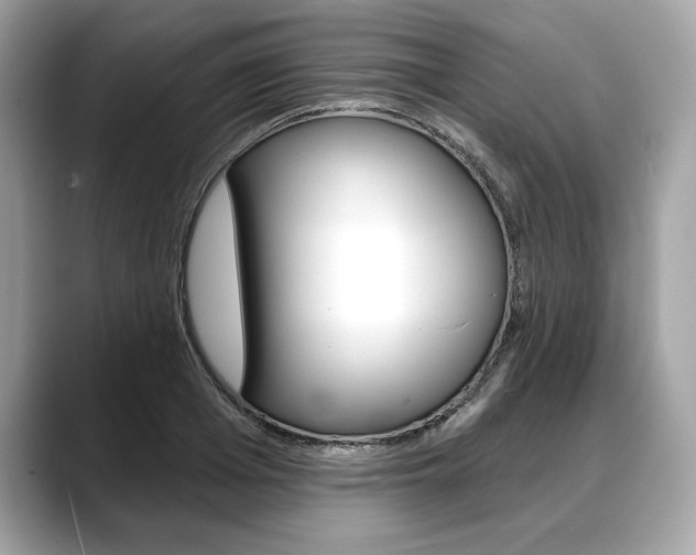 X0000088690985200705310955