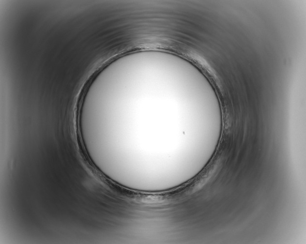X0000088690986200705310955