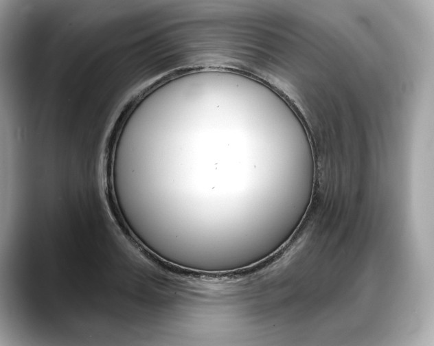 X0000088690987200705310955
