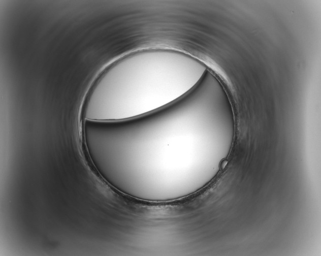 X0000088690988200705310955