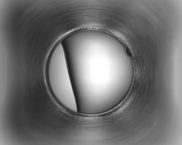 X0000088690989200705310954