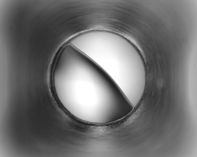 X0000088690991200705310954