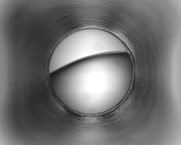 X0000088690993200705310954