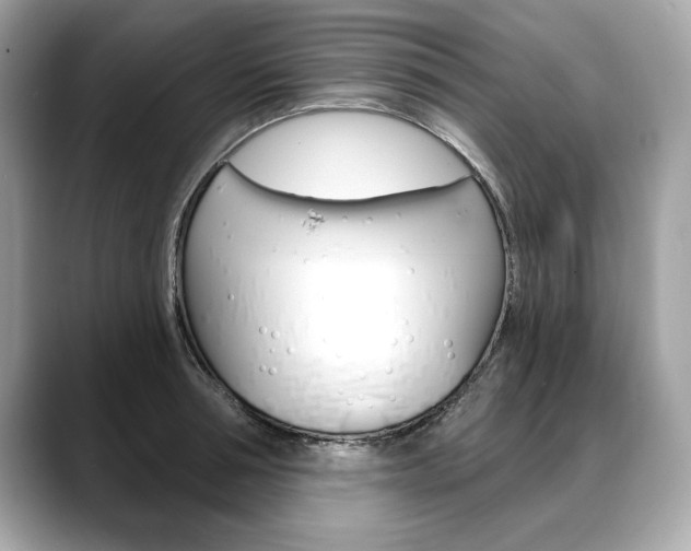 X0000088690994200705310954