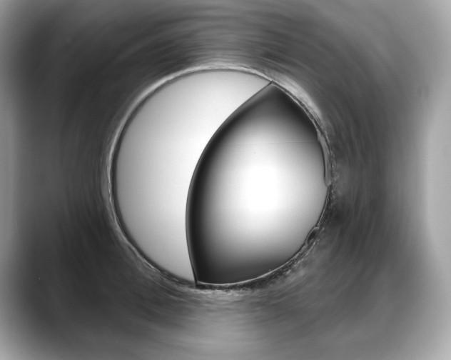 X0000088690996200705310954