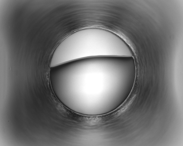 X0000088691001200705310954