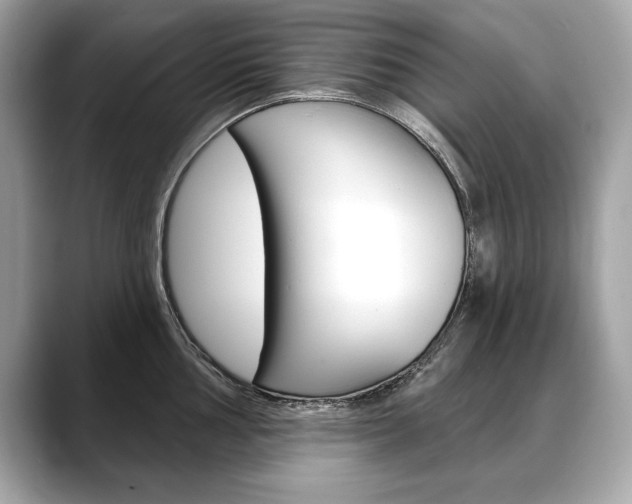 X0000088691002200705310954