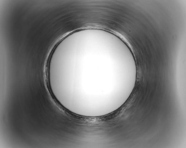 X0000088691003200705310954