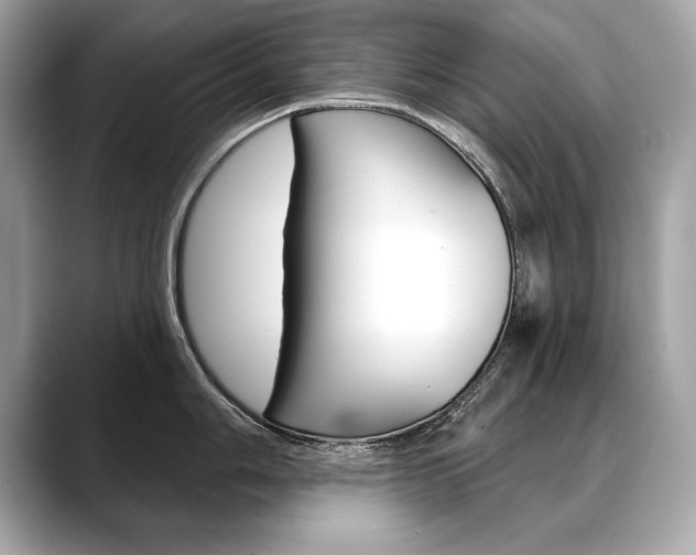 X0000088691006200705310954