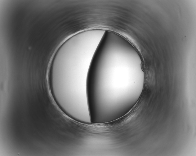 X0000088691007200705310954