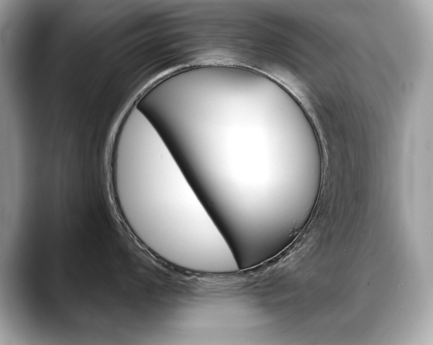 X0000088691008200705310954