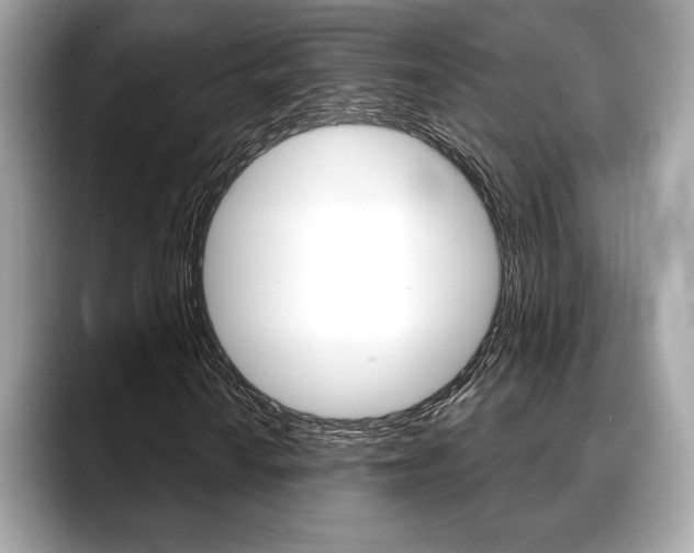 X0000088691010200705310954