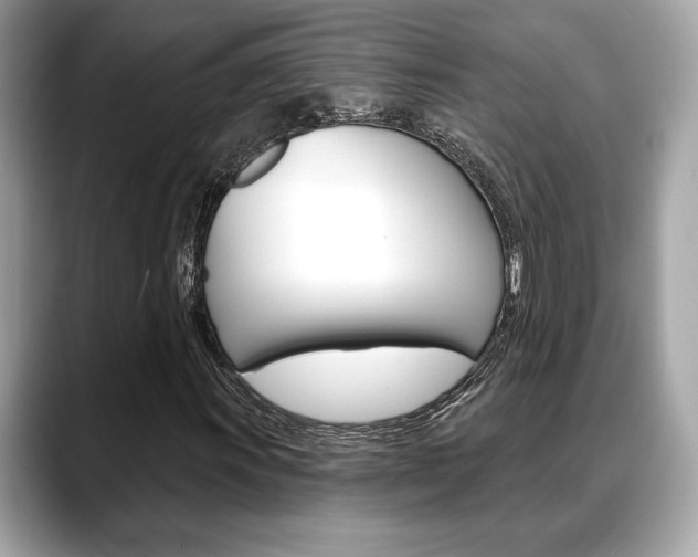 X0000088691011200705310954