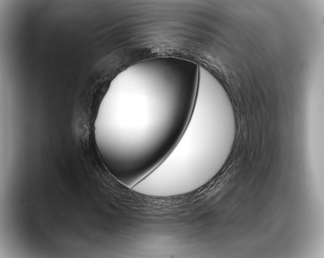X0000088691012200705310954