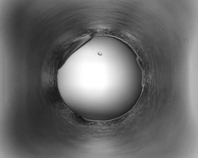 X0000088691014200705310954