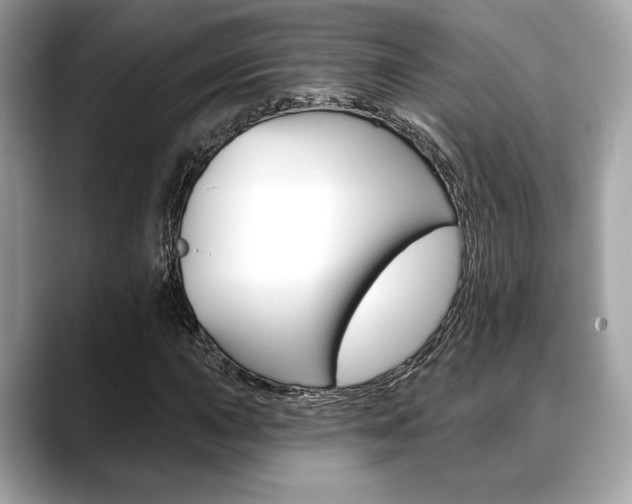 X0000088691015200705310954