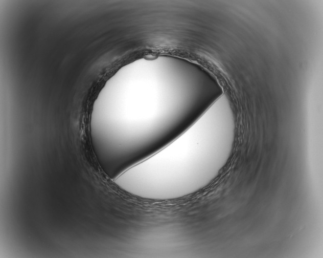 X0000088691016200705310954