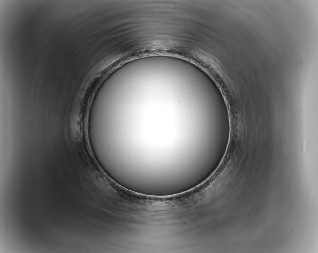 X0000088691018200705310954
