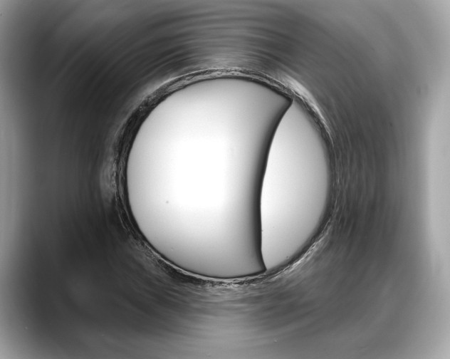 X0000088691019200705310954