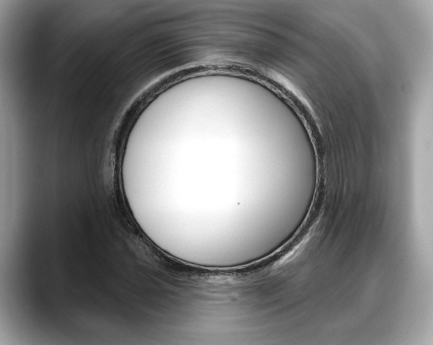 X0000088691021200705310954