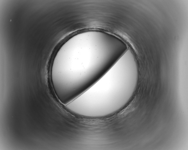 X0000088691024200705310954