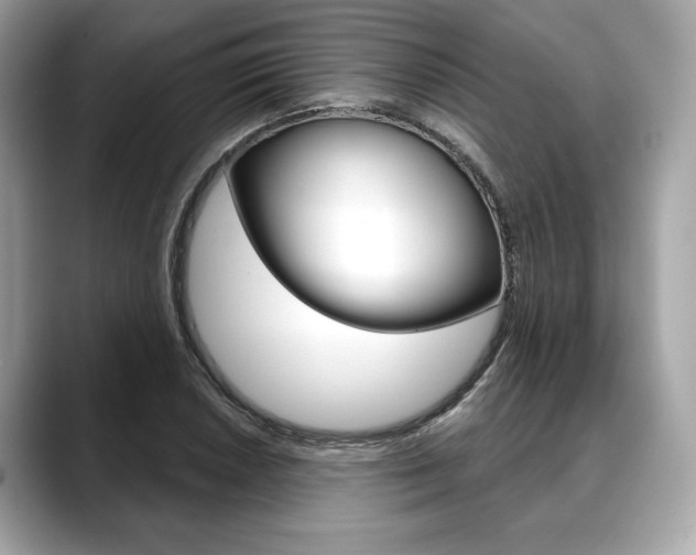 X0000088691026200705310954