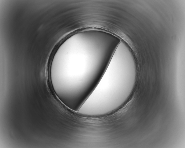 X0000088691028200705310954