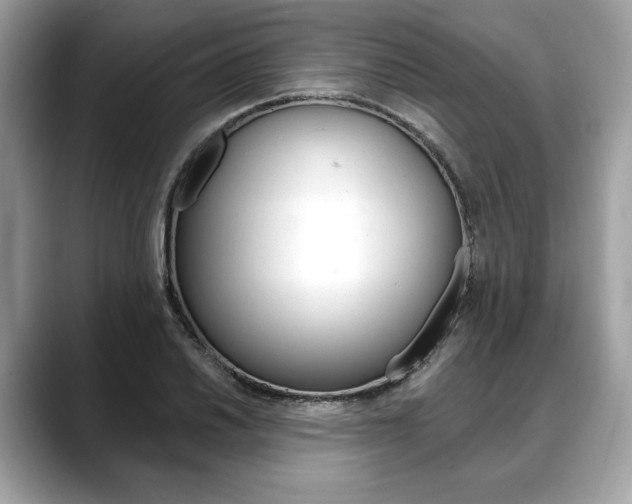 X0000088691030200705310954