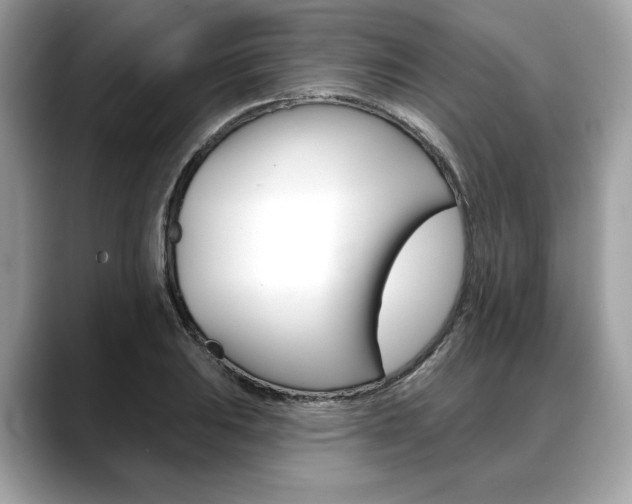 X0000088691031200705310954