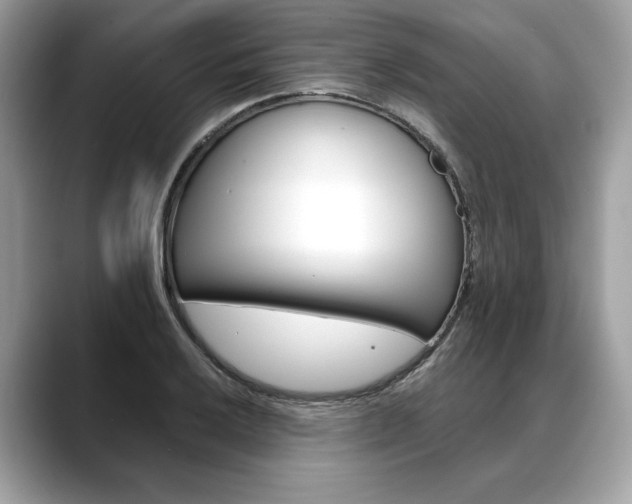 X0000088691032200705310954